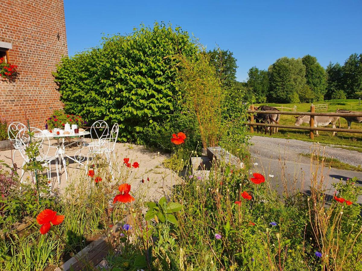 Bed and Breakfast Les Mout'Anes à Saint-Hilaire-sur-Helpe Extérieur photo