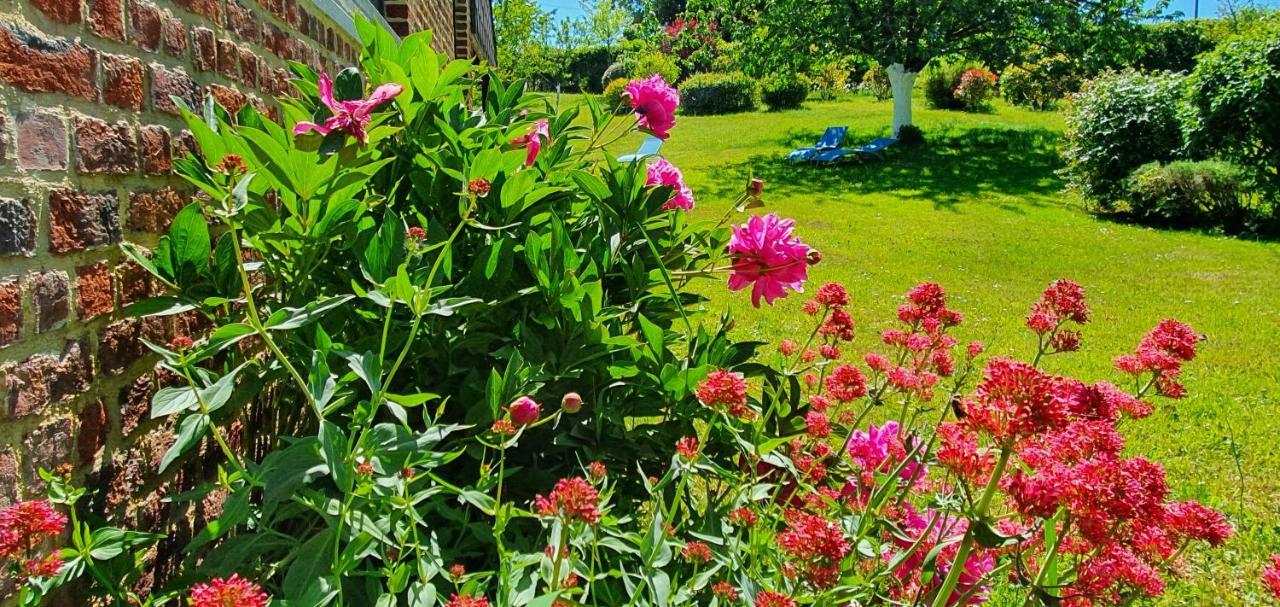 Bed and Breakfast Les Mout'Anes à Saint-Hilaire-sur-Helpe Extérieur photo