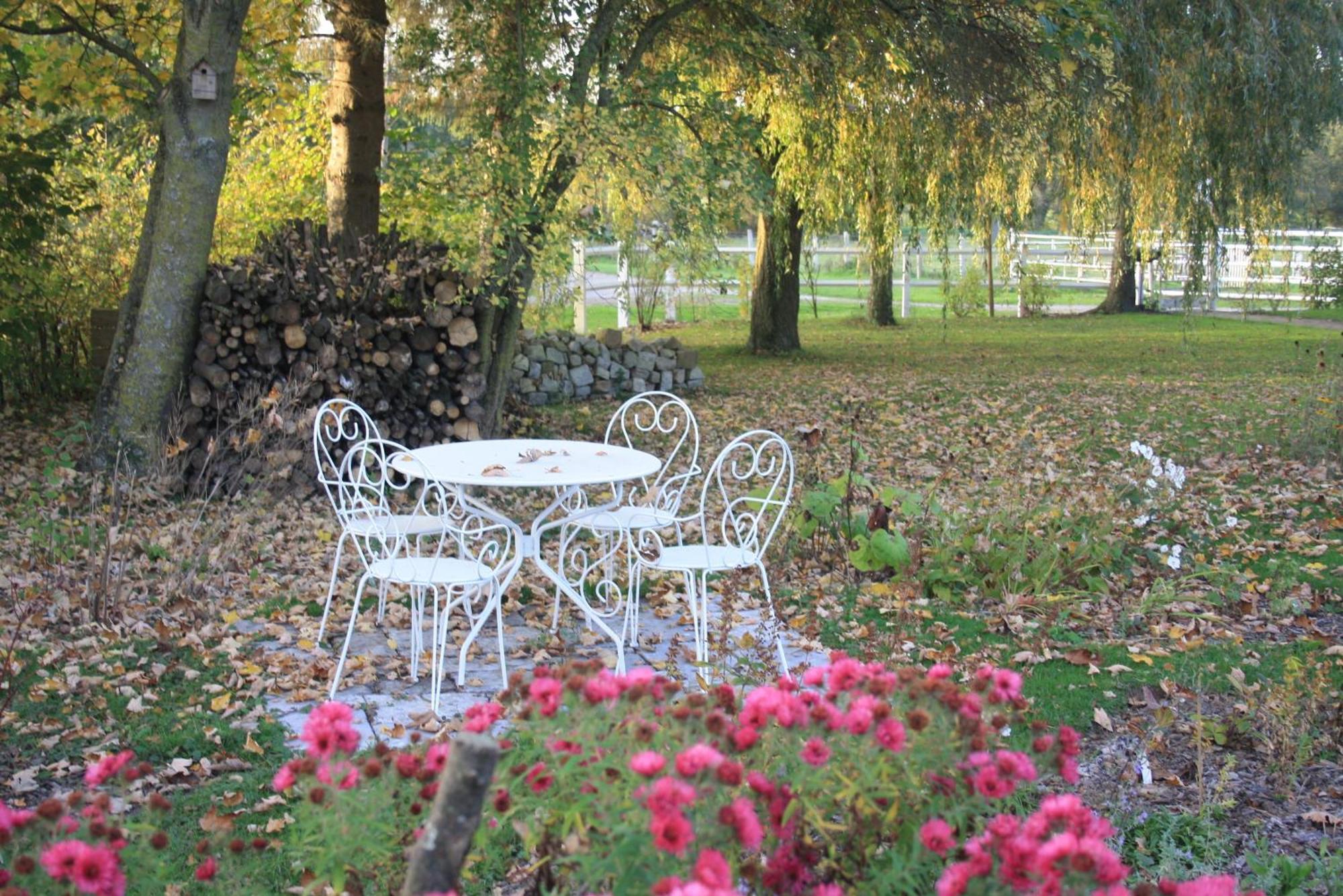 Bed and Breakfast Les Mout'Anes à Saint-Hilaire-sur-Helpe Extérieur photo